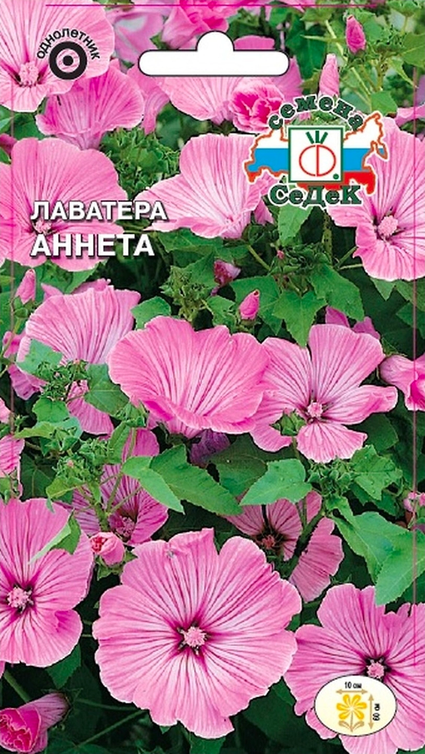 Семена Лаватеры СеДеК Аннета трехмесячная 0,5 г