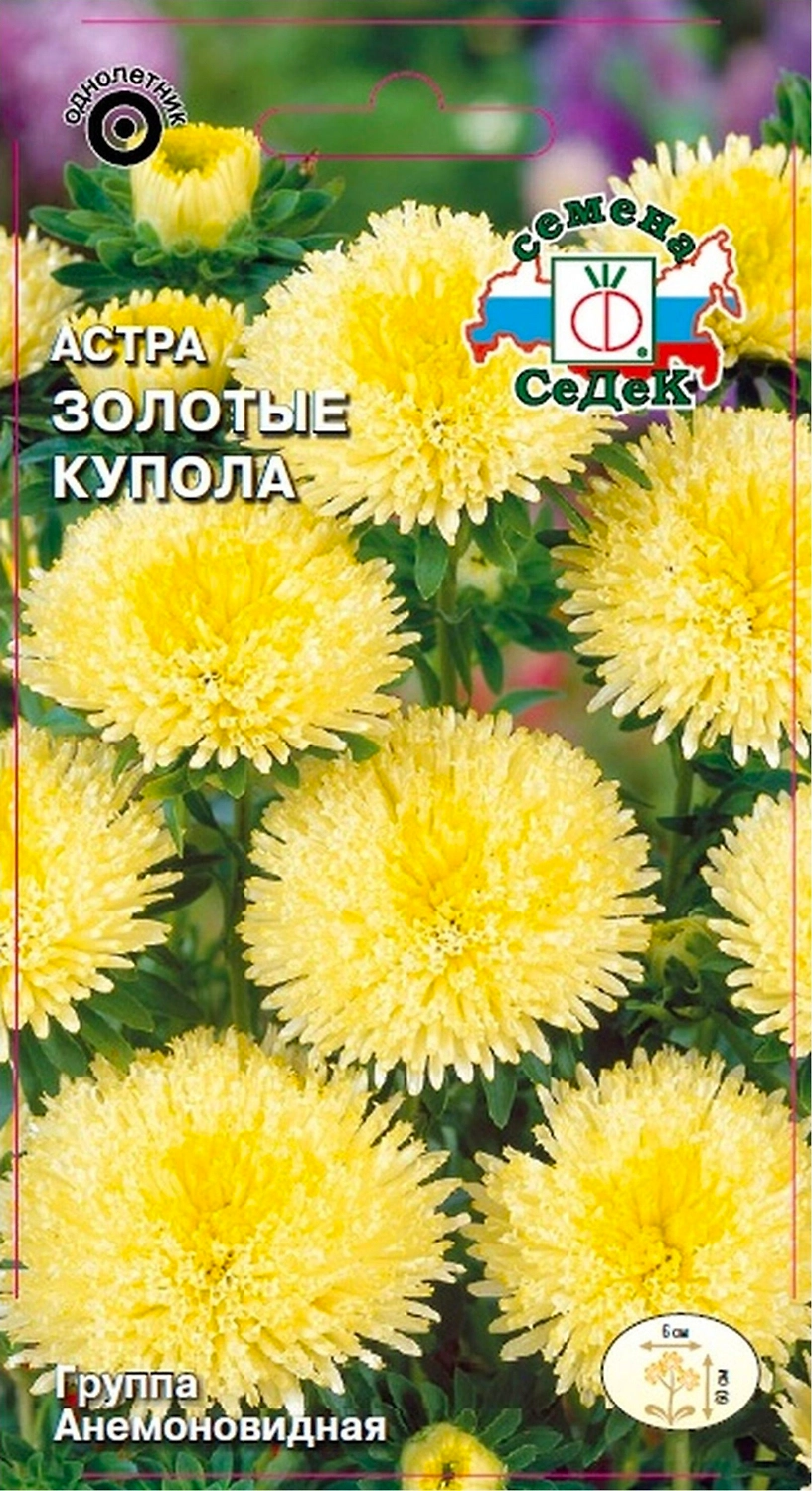 Семена Астры СеДеК Золотые Купола 0,2 г
