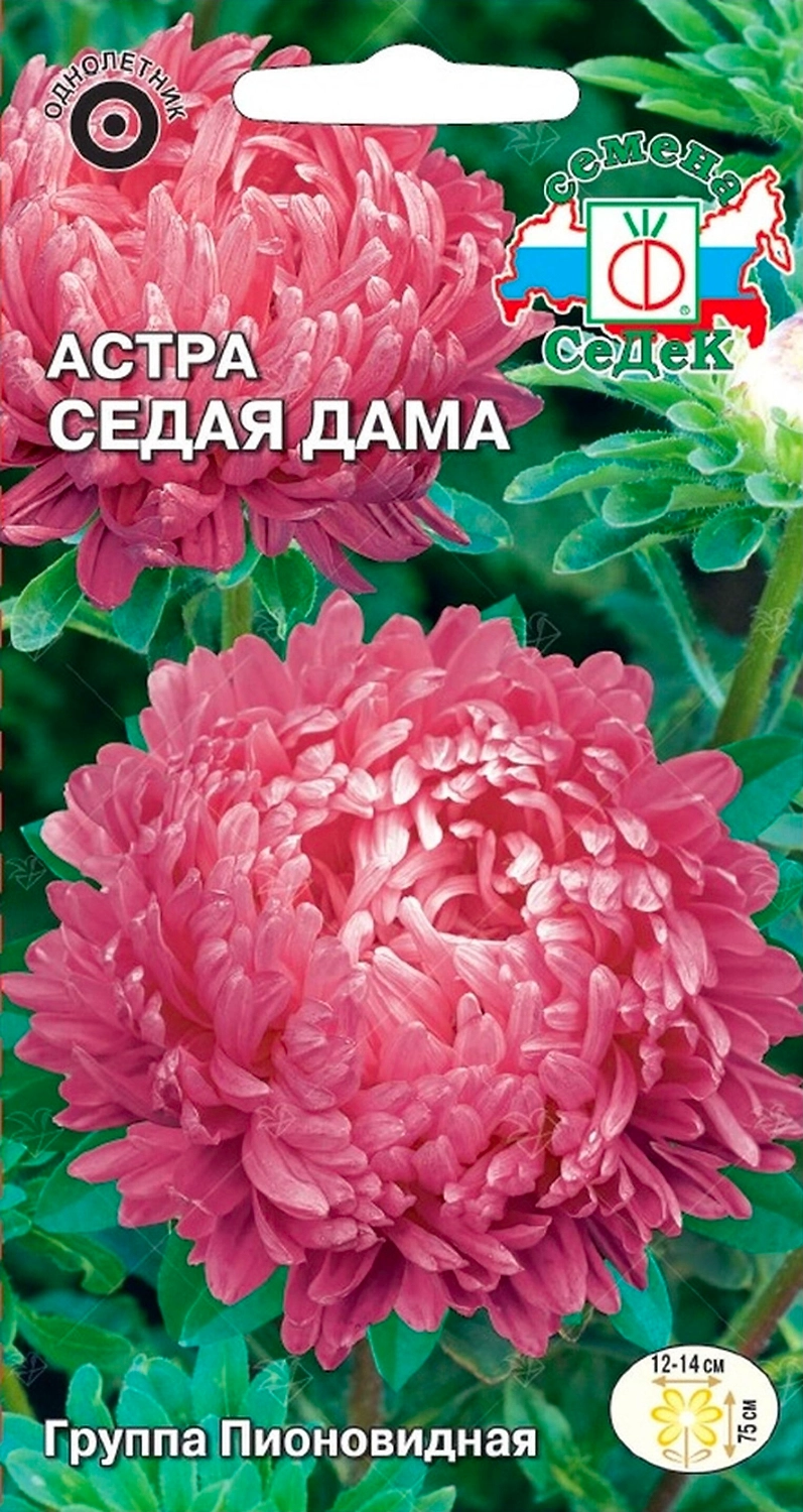 Семена Астры СеДеК Седая Дама 0,2 г
