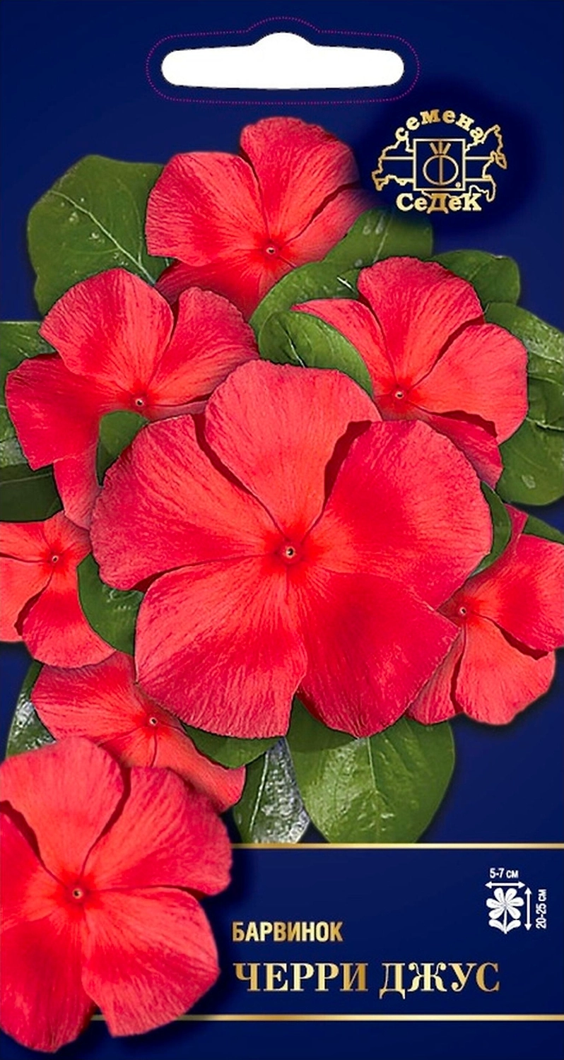 Семена Барвинка СеДеК Черри Джус F1 1 г