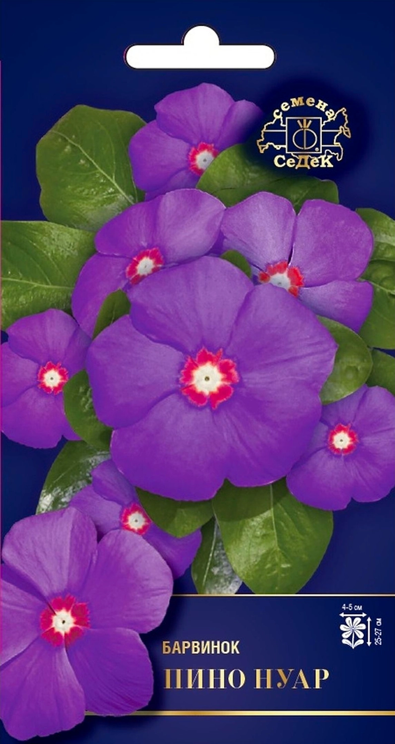 Семена Барвинка СеДеК Пино Нуар F1 1 г
