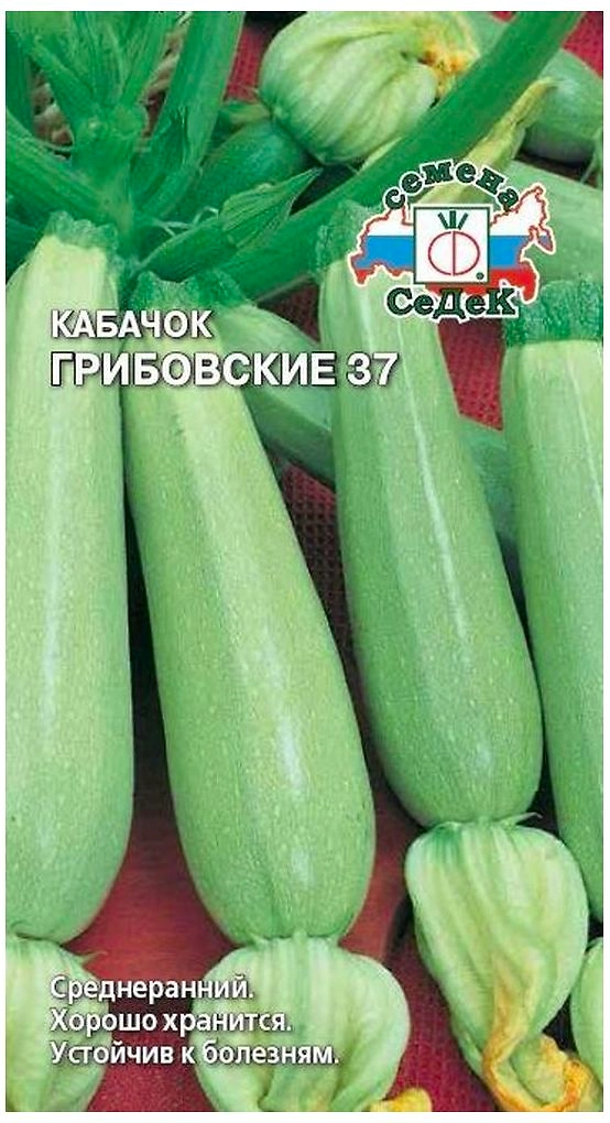 Семена Кабачка СеДеК Грибовские 37 2 г