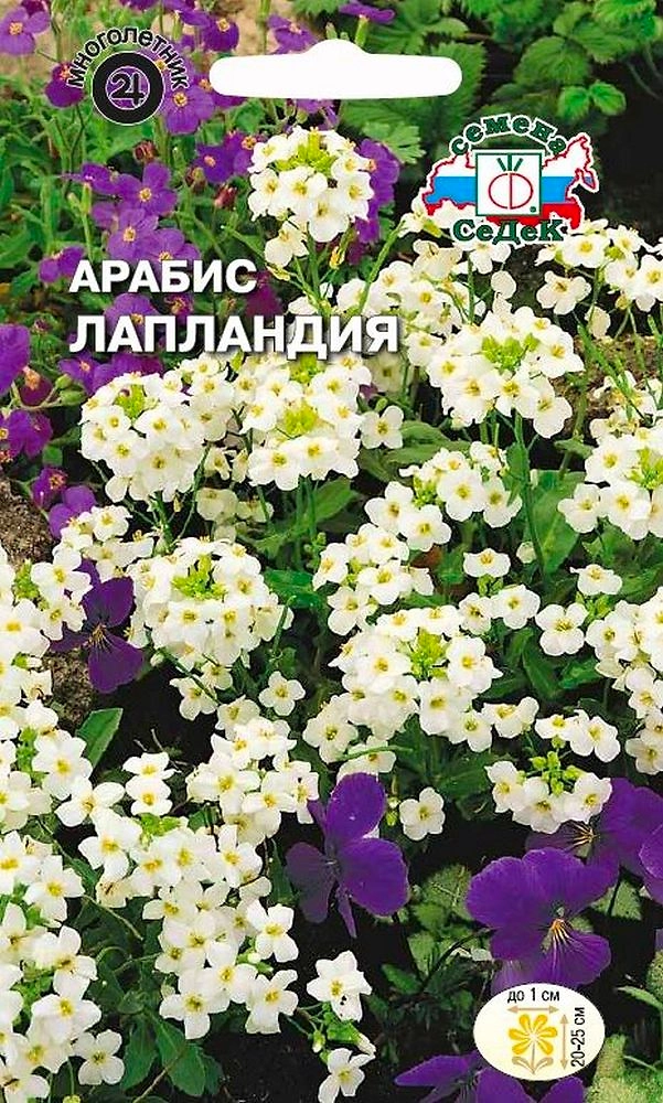 Семена Арабиса альпийского белого СеДеК Лапландия 0,1 г