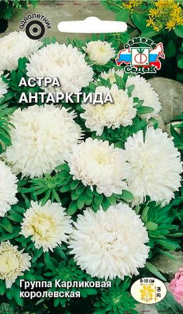 Семена Астры СеДеК Антарктида 0,2 г