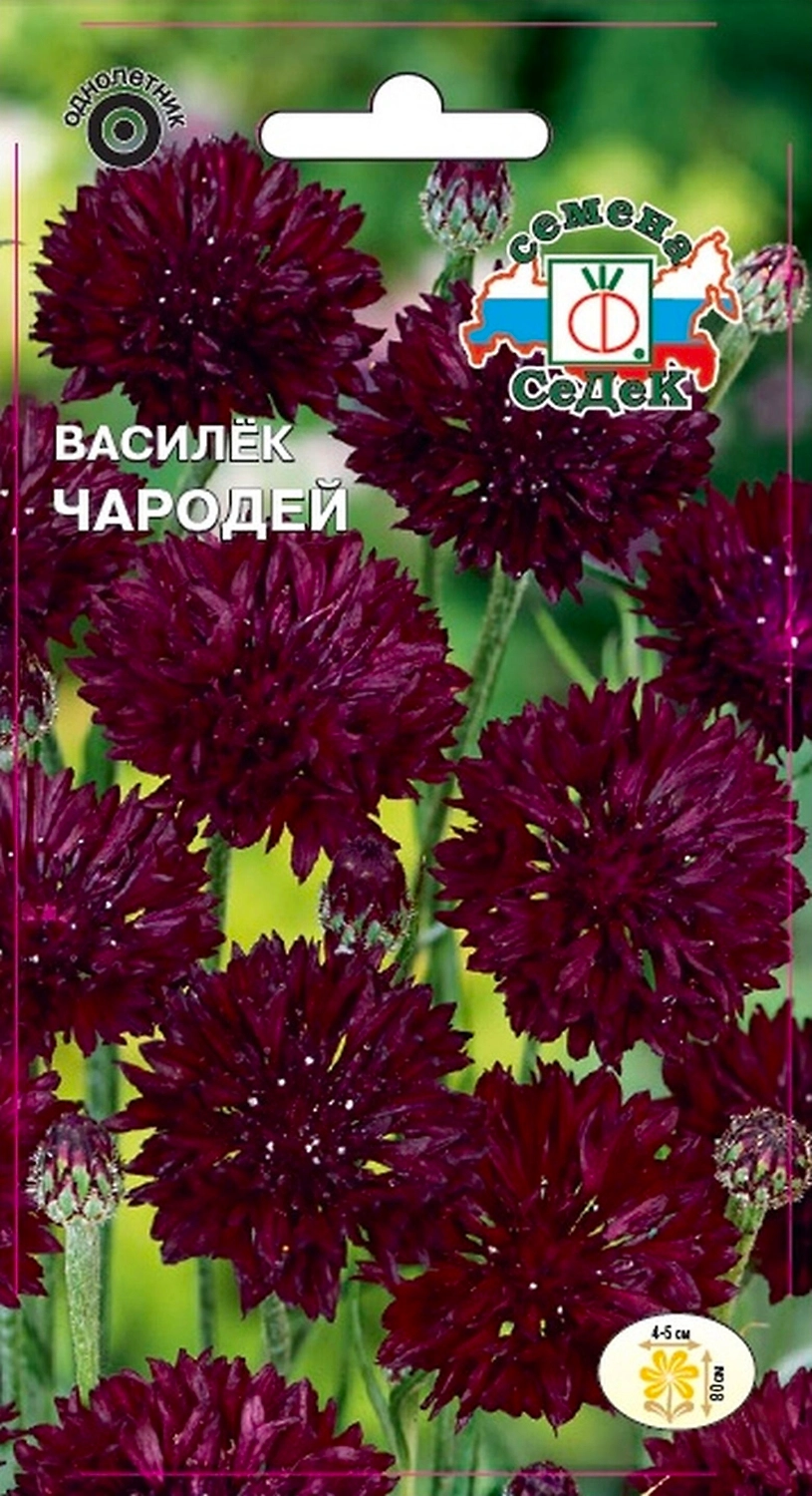 Семена Василька СеДеК Чародей 0,5 г