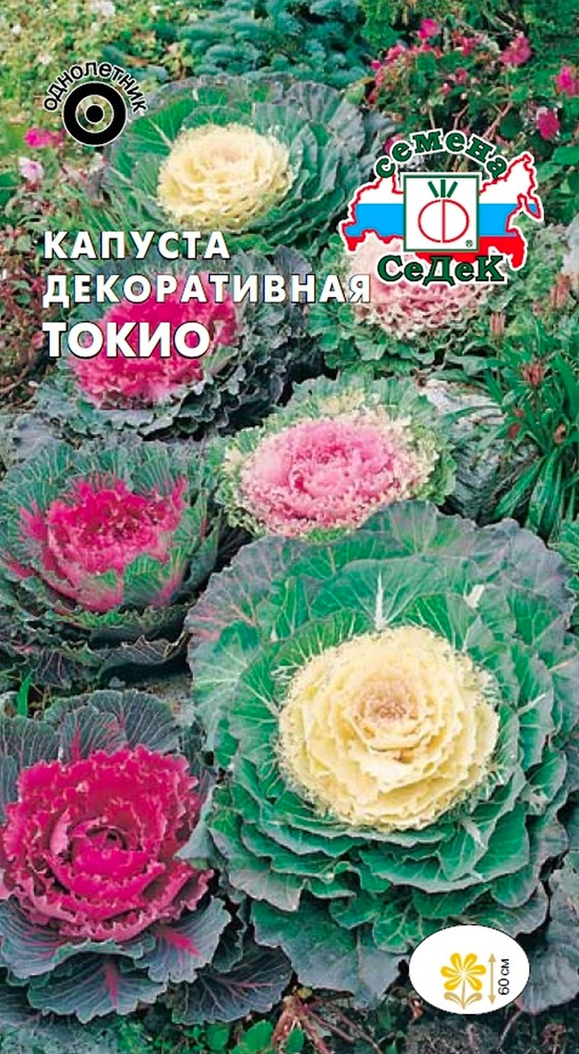 Семена Капусты декоративной СеДеК Токио 0,1 г