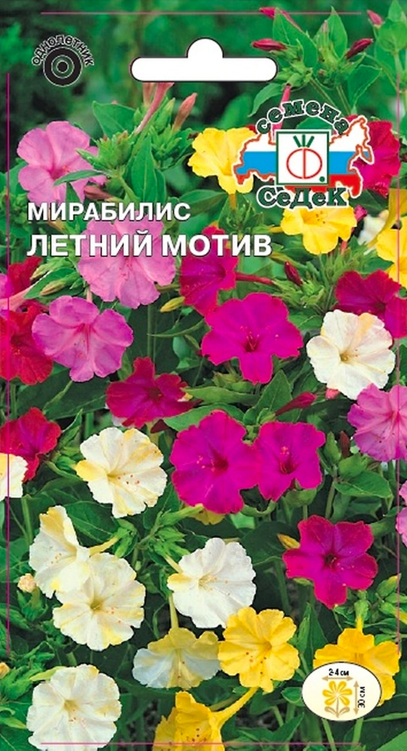 Семена Мирабилиса СеДеК Летний мотив 1 г