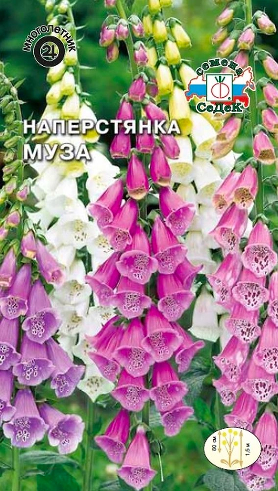 Семена Наперстянки СеДеК Муза 0,2 г