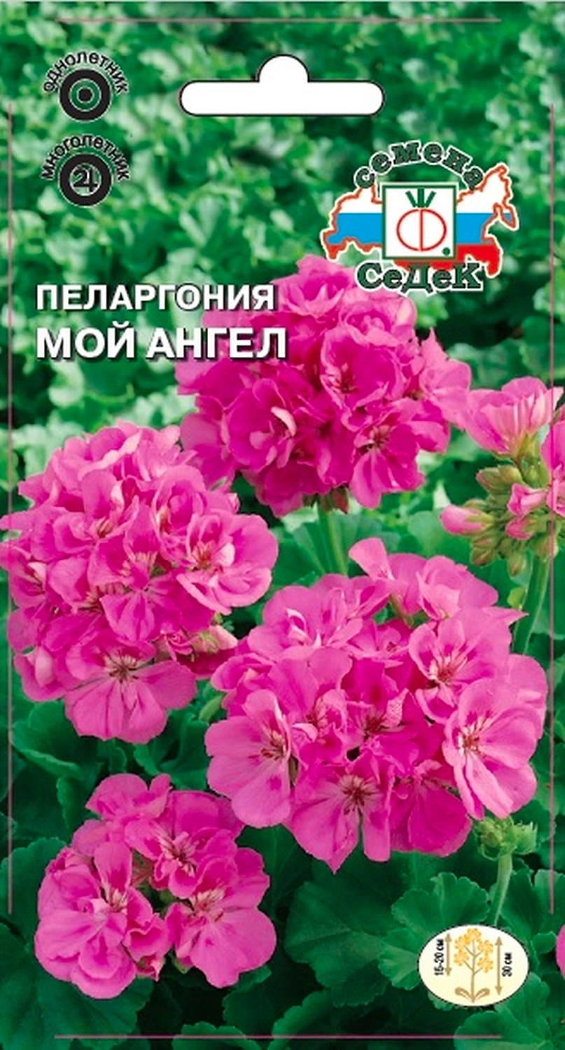 Семена Пеларгонии СеДеК Мой ангел 5 г