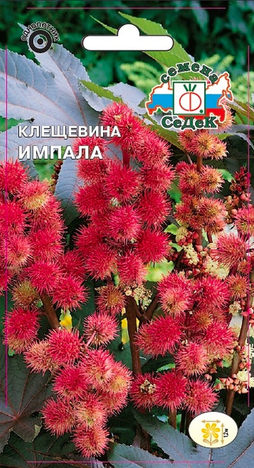 Семена Клещевины СеДеК Импала обыкновенная 2 г