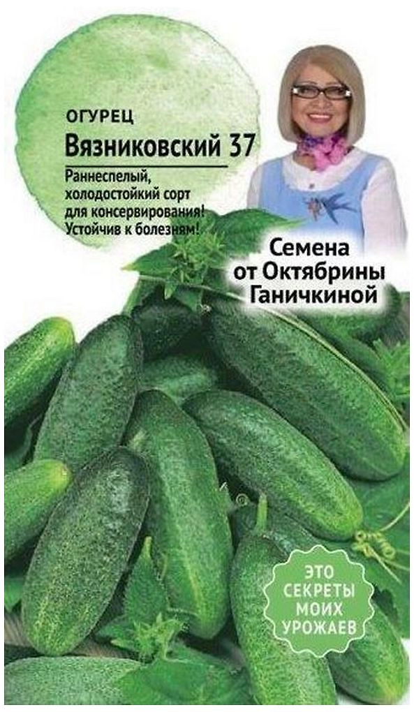Семена Огурца Октябрина Ганичкина Вязниковский 37 5 г