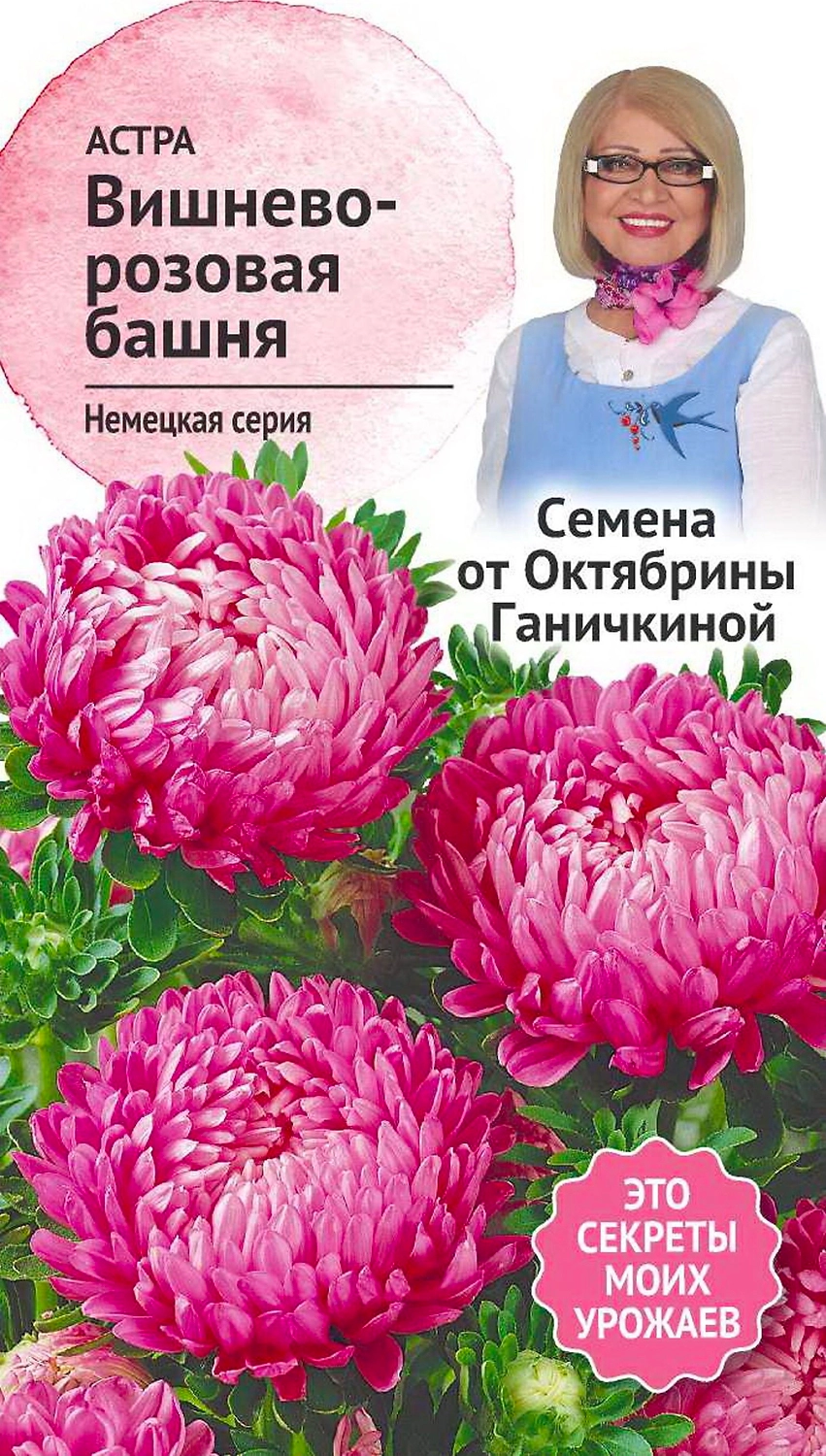 Семена Астры Октябрина Ганичкина Вишнево-розовая башня 0,3 г