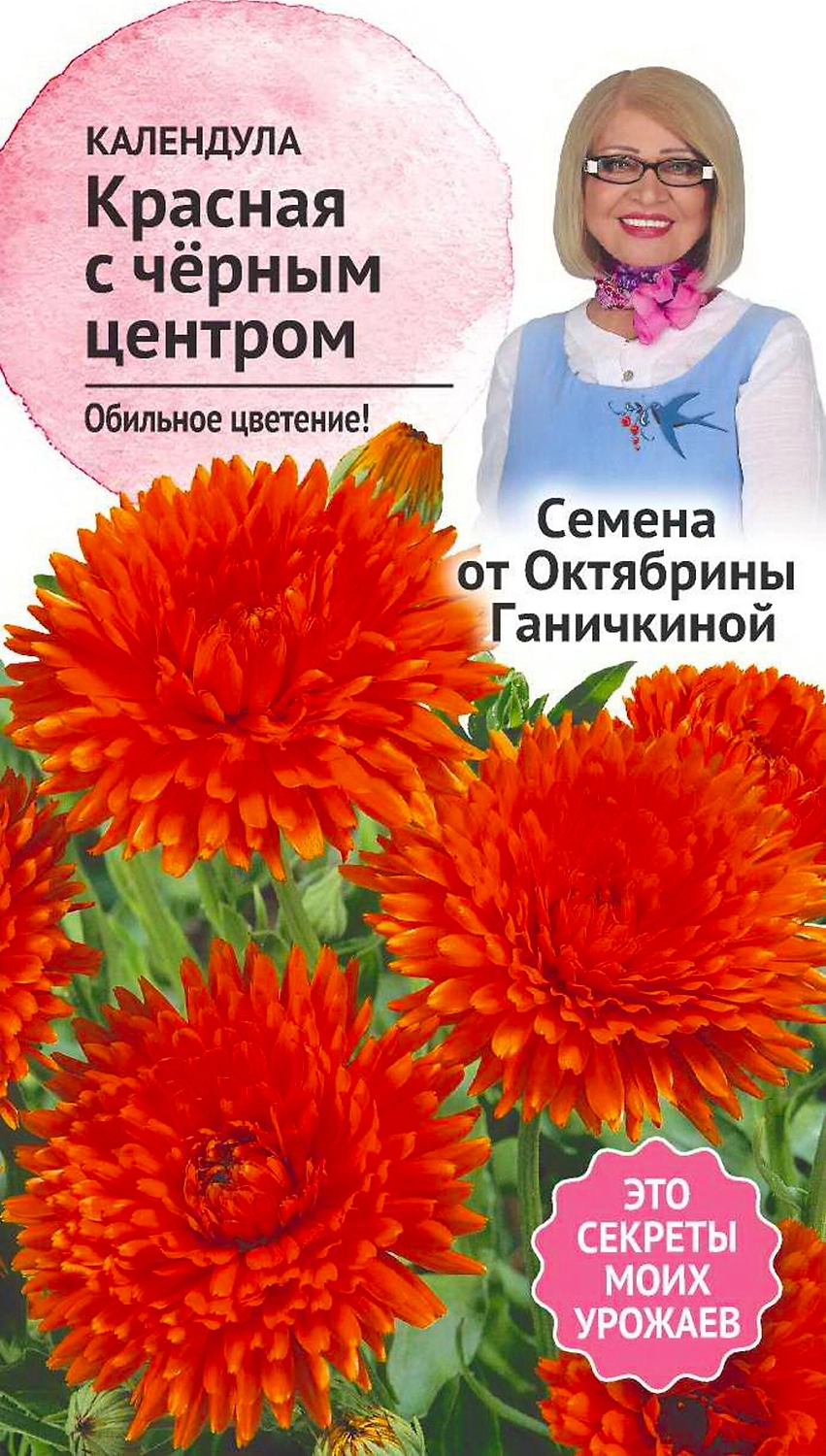 Семена Календулы Октябрина Ганичкина Красная с черным центром 0,3 г