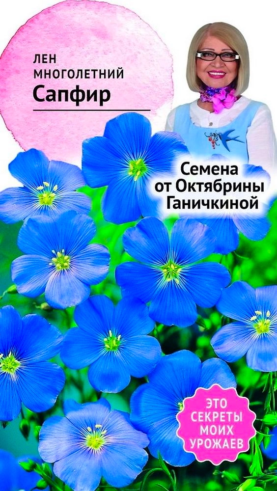 Семена Льна Октябрина Ганичкина Сапфир 10 шт