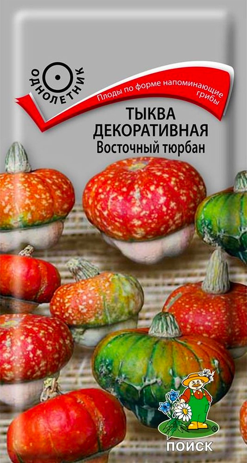 Семена Тыквы декоративной ПОИСК Восточный тюрбан 5 шт