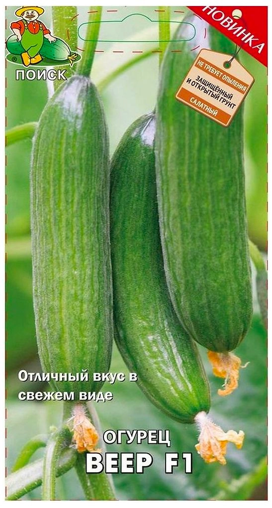Семена Огурца ПОИСК Веер F1 12 x 12 шт