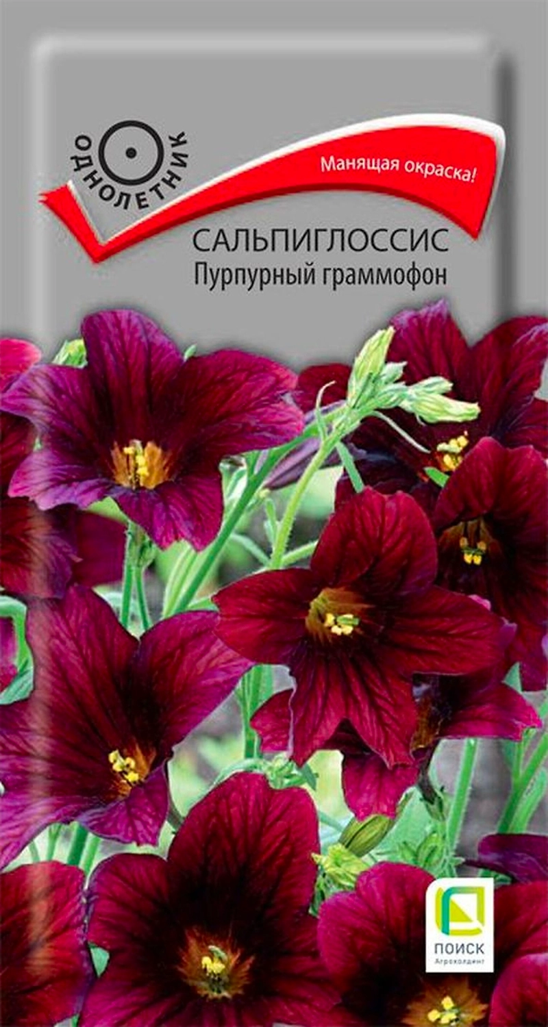 Семена Сальпиглоссиса ПОИСК Пурпурный 0,01 г