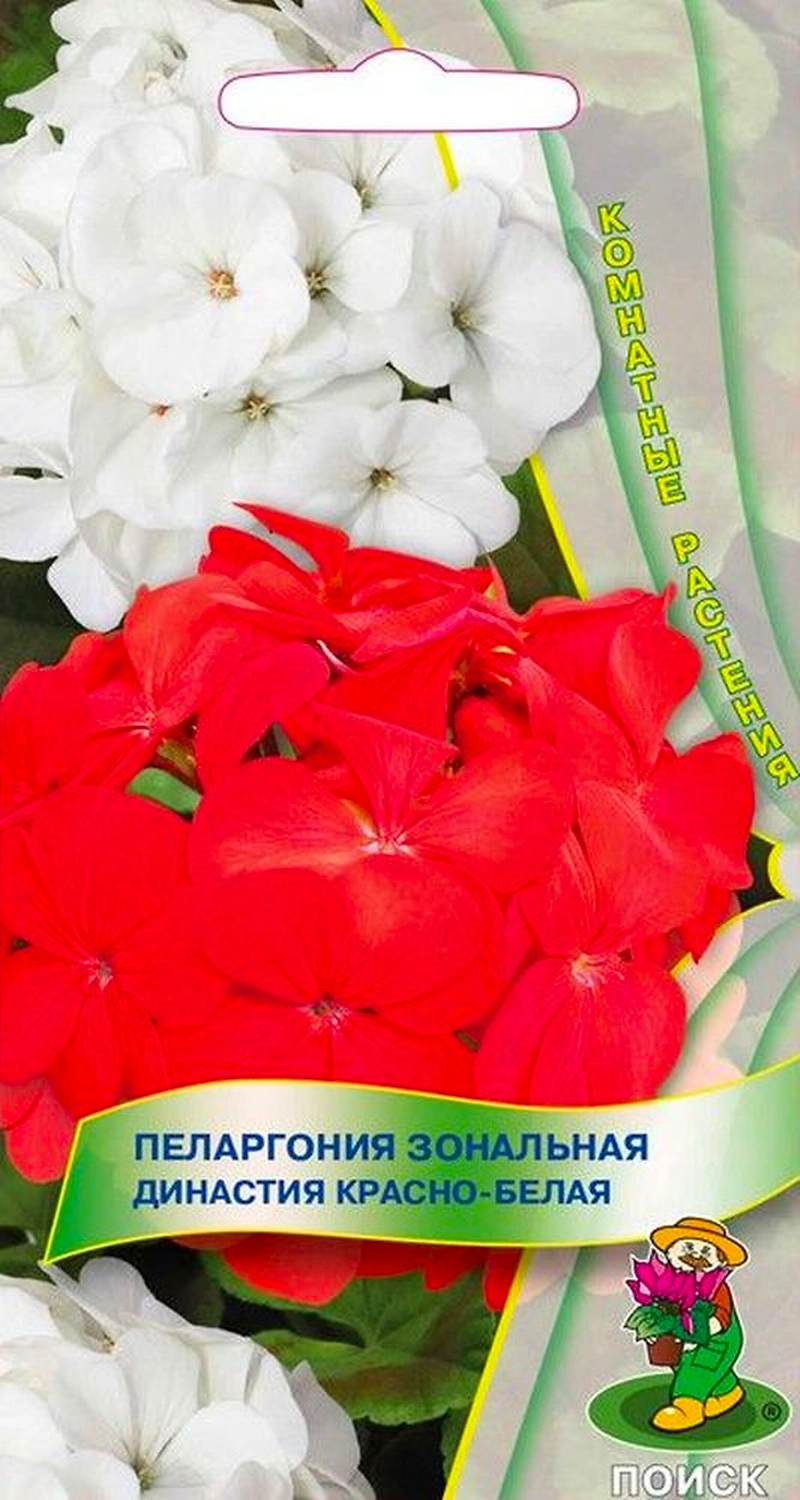 Семена Пеларгонии зональной ПОИСК Династия красно-белая 5 шт