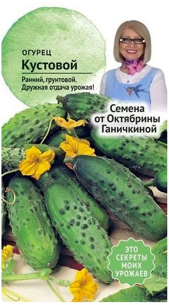 Семена Огурца Октябрина Ганичкина Кустовой 3 г