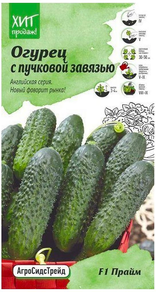 Семена Огурца АгроСидсТрейд Прайм F1 5 шт