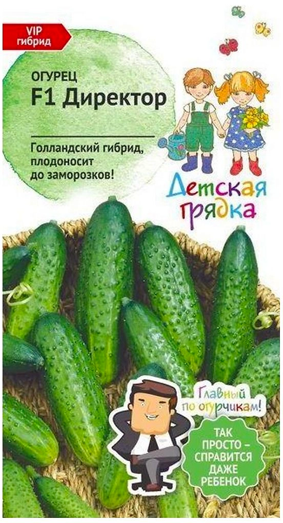 Семена Огурца АгроСидсТрейд Директор F1 5 шт