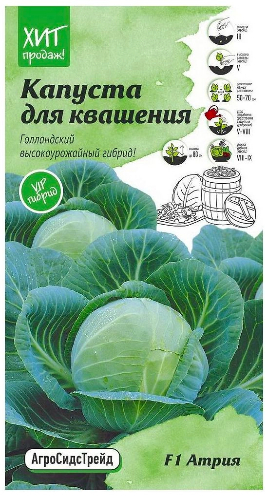 Семена Капусты АгоСидсТрейд Атрия F1 10 шт