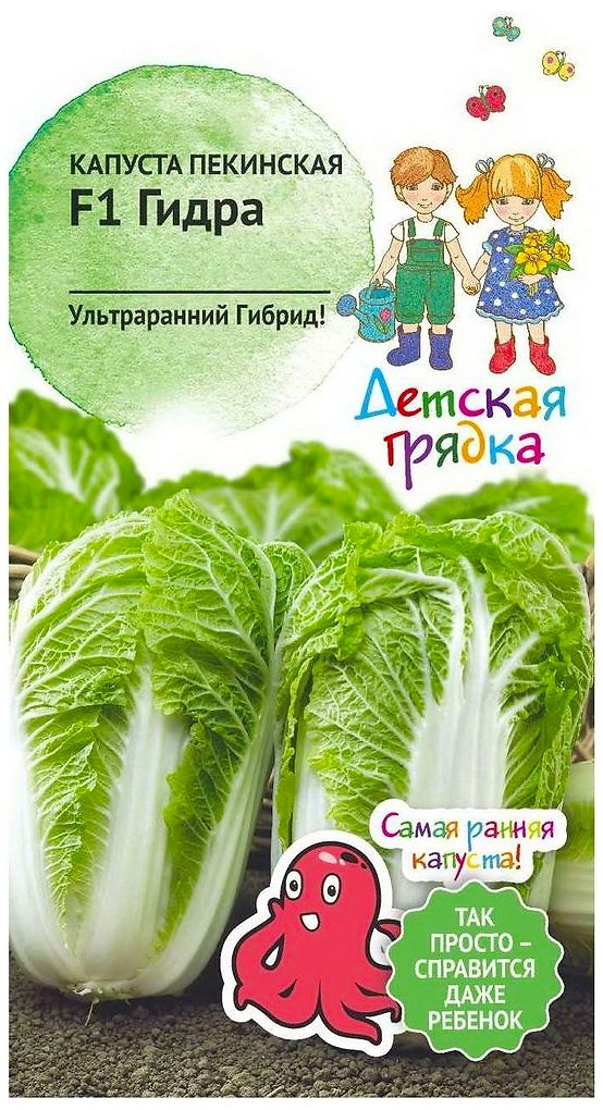 Семена Капусты АгоСидсТрейд Гидра F1 0,1 г