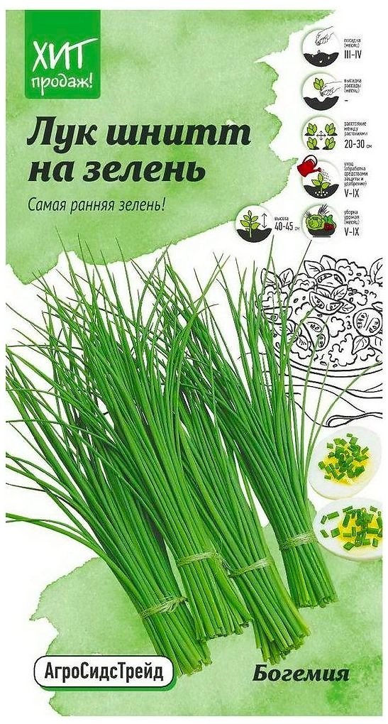 Семена Лука Детская грядка Богемия на зелень 0,5 г