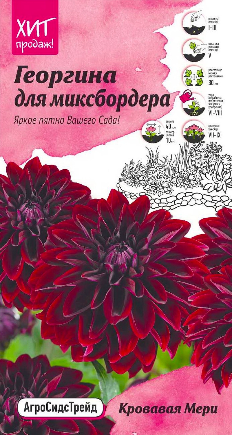 Семена Георгины АгроСидсТрейд Кровавая мери 0,1 г