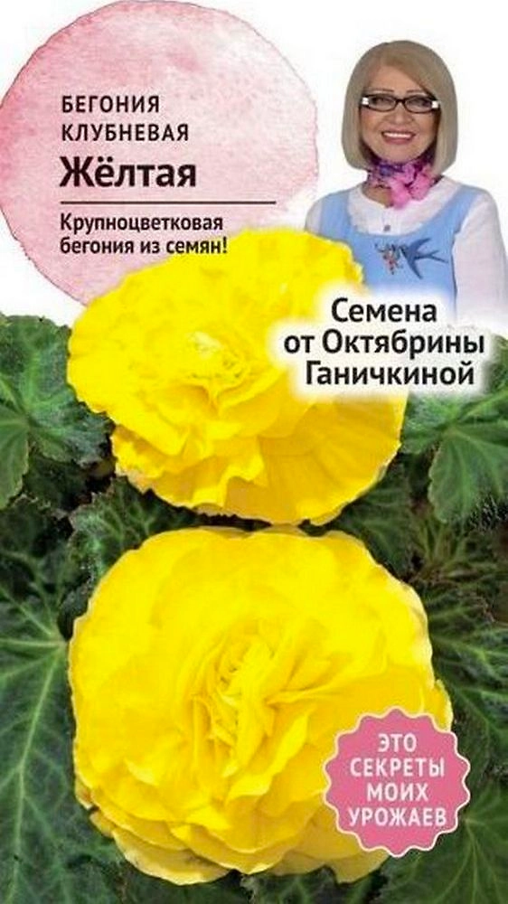 Семена Бегонии клубневой Октябрина Ганичкина желтая 6 шт