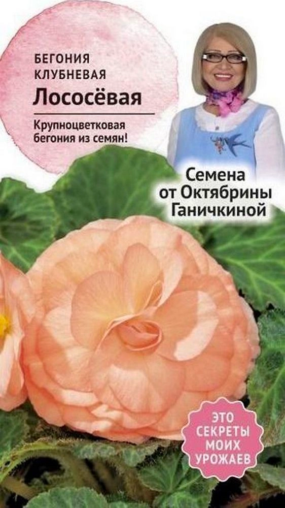 Семена Бегонии клубневой Октябрина Ганичкина лососевая 6 шт