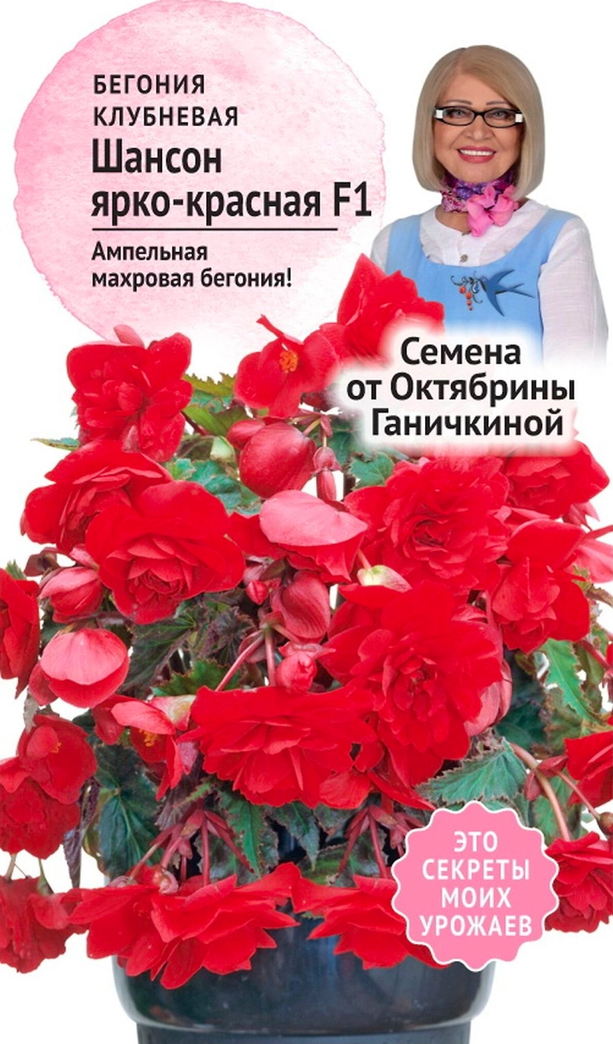 Семена Бегонии клубневой Октябрина Ганичкина Шансон красная F1 6 шт