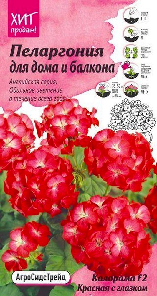 Семена Пеларгонии АгроСидсТрейд Английская серия Колорама F2 красная 5 шт