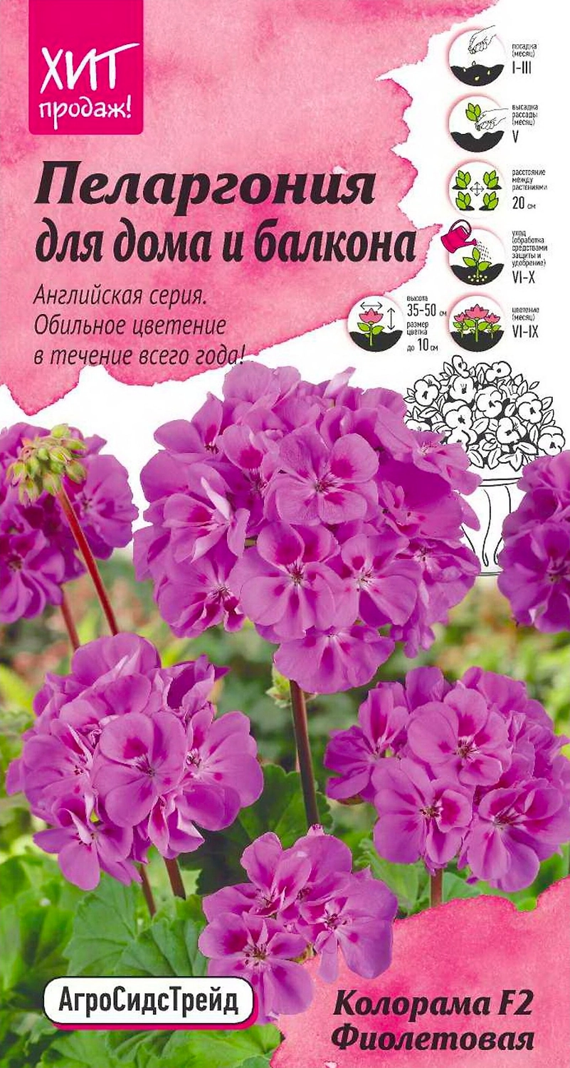 Семена Пеларгонии АгроСидсТрейд Колорама фиолетовая F2 5 шт