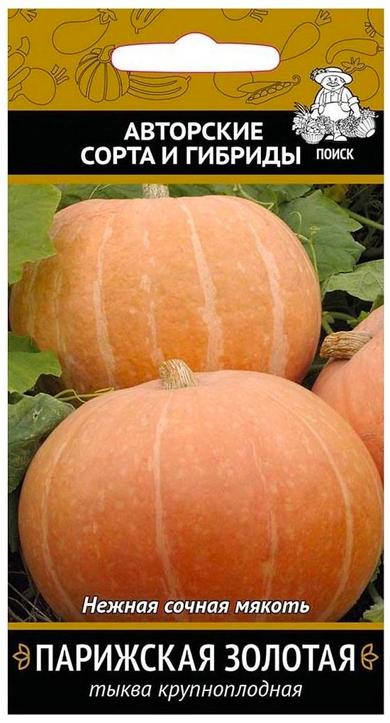 Семена Тыквы Авторские сорта и гибриды ПОИСК крупноплодн Парижская золотая 10 шт