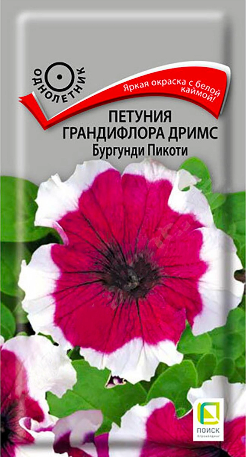 Семена Петунии крупноцветковой ПОИСК Дримс Бургунди Пикоти 15 х 15 шт