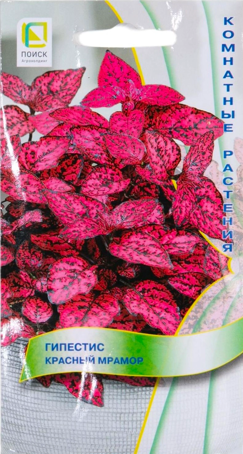 Семена Гипестиса ПОИСК Красный Мрамор 7 шт