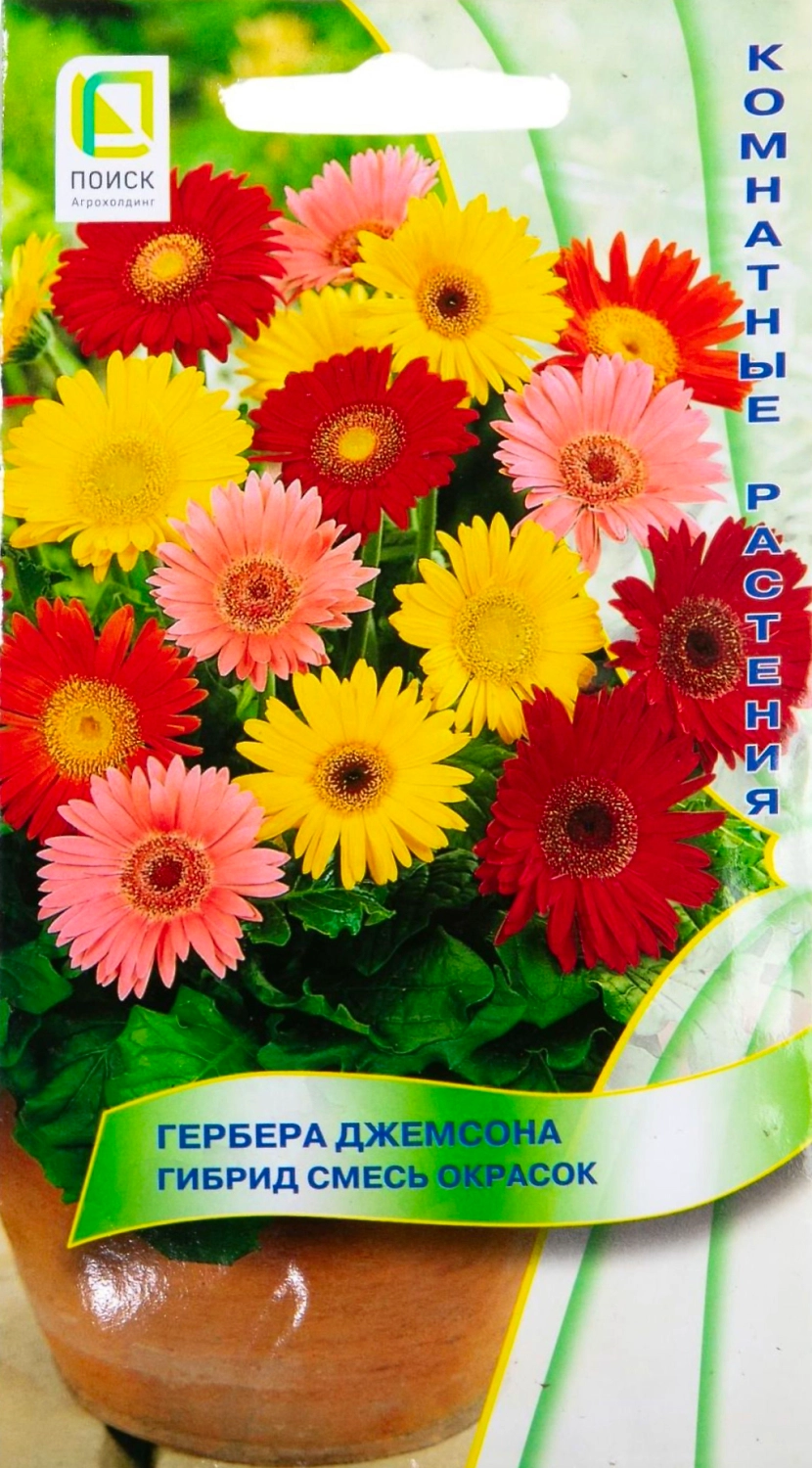 Семена Герберы ПОИСК Джемсона гибрид Смесь окрасок 10 шт