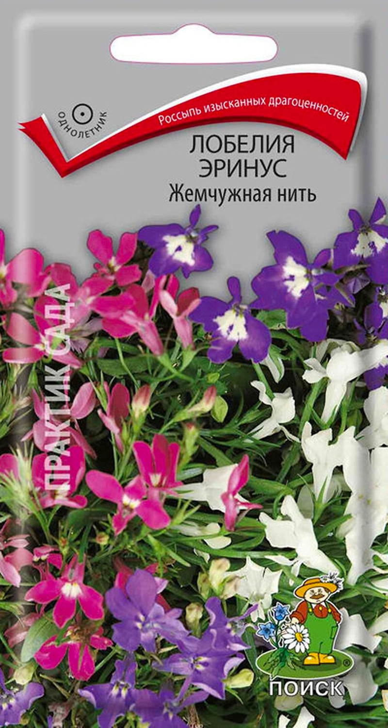 Семена Лобелии ПОИСК Эринус Жемчужная нить 0,1 г