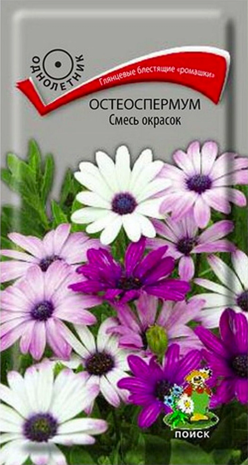 Семена Остеоспермума ПОИСК Смесь окрасок 0,1 г