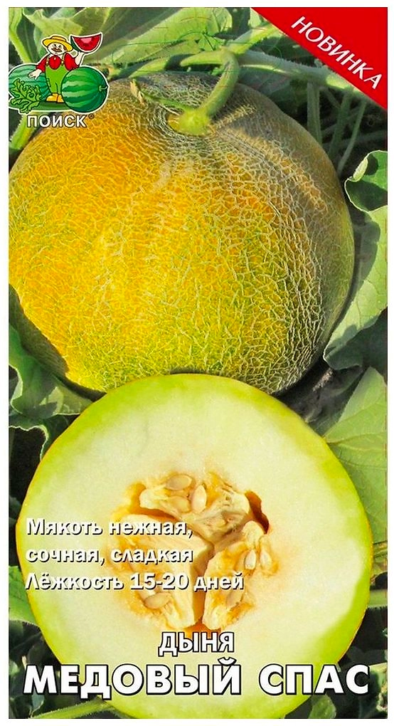 Семена Дыни ПОИСК Медовый Спас 10 шт