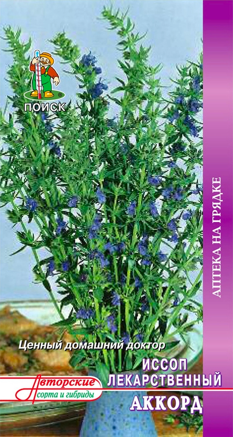 Семена Иссопа лекарственного ПОИСК Аккорд 0,5 г