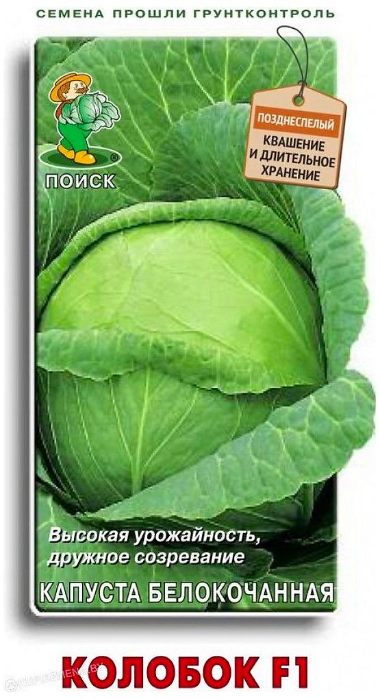 Семена Капусты ПОИСК Огородное изобилие Колобок F1 0,2 г