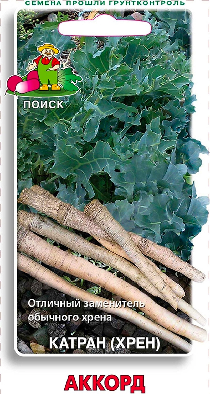 Семена Катрана ПОИСК хрен Аккорд 0,3 г