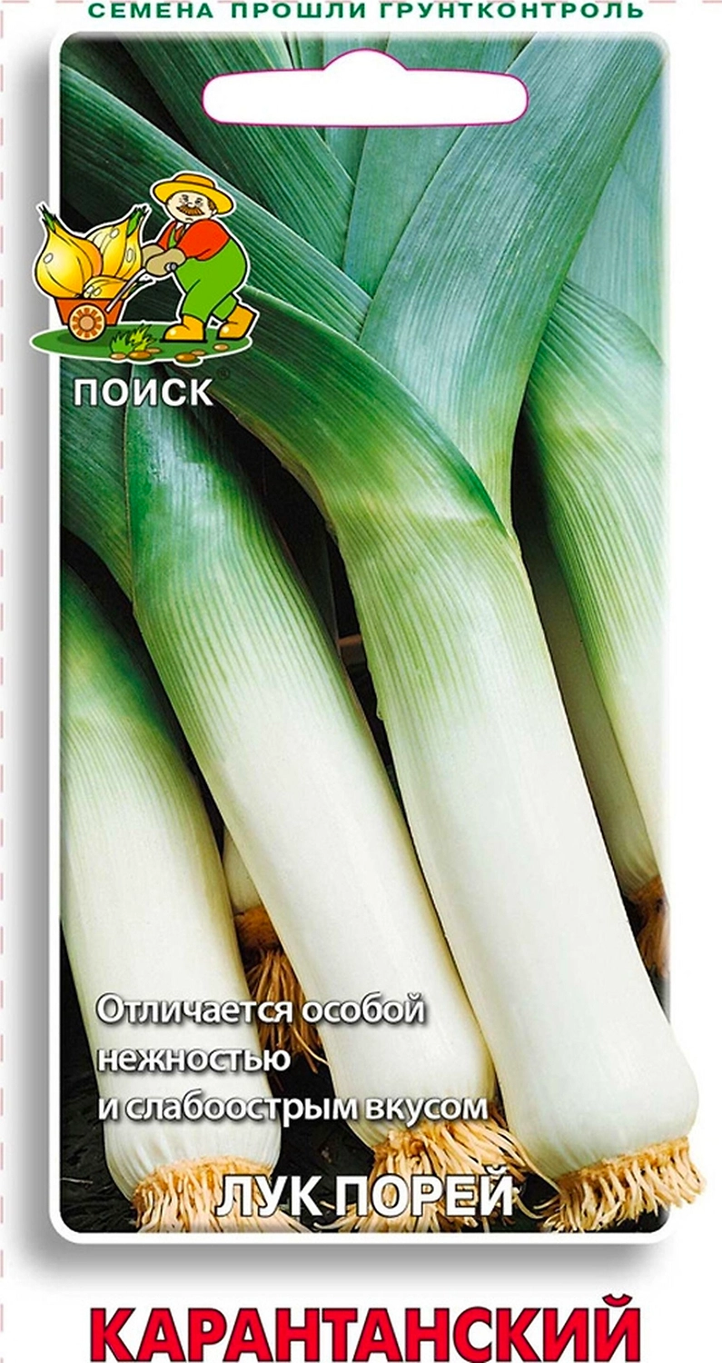 Семена Лука-порея ПОИСК Карантанский 1 г