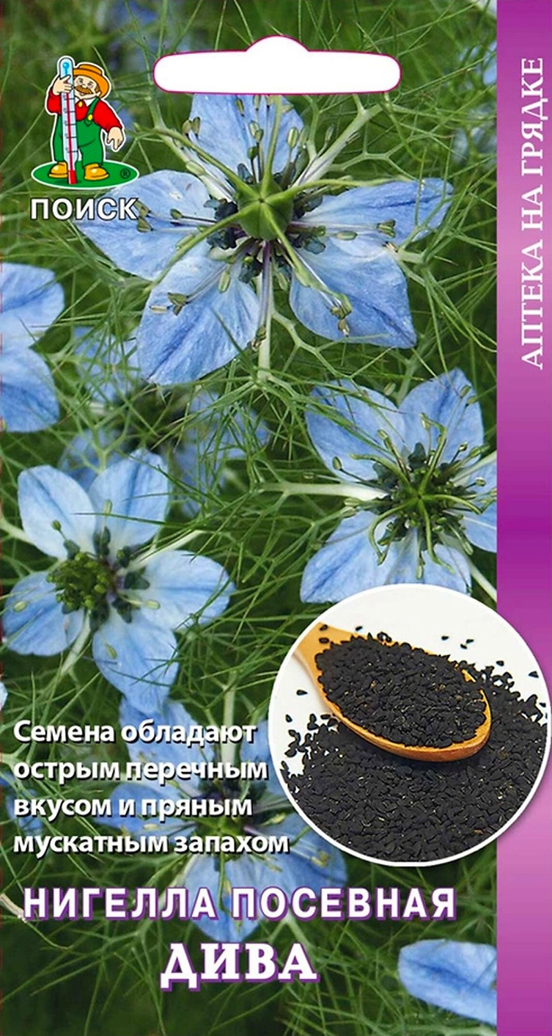 Семена Нигеллы ПОИСК Аптека на грядке Посевная черный тмин Дива 25 шт