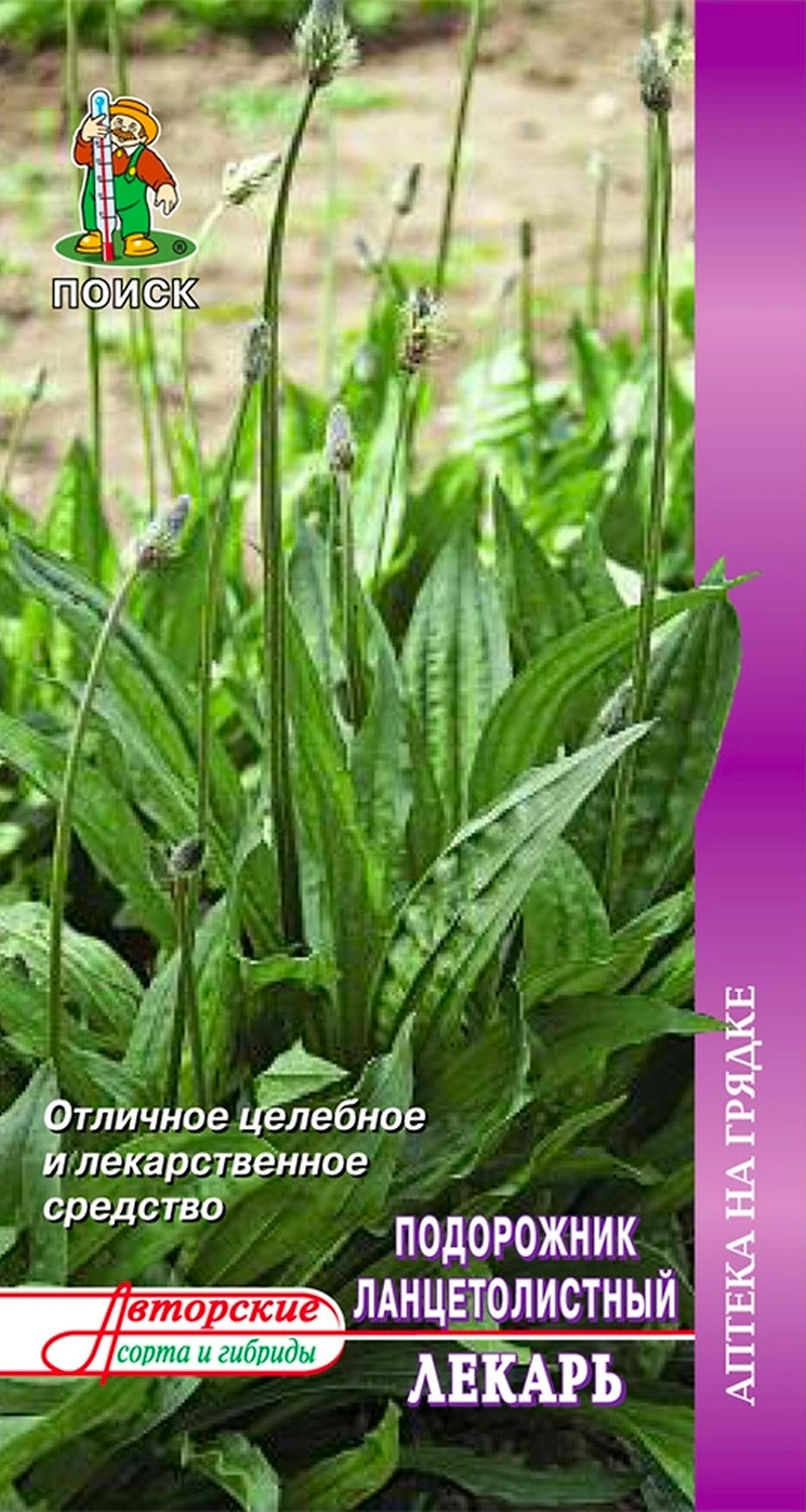 Семена Подорожника ПОИСК Ланцетный Лекарь 0,1 г