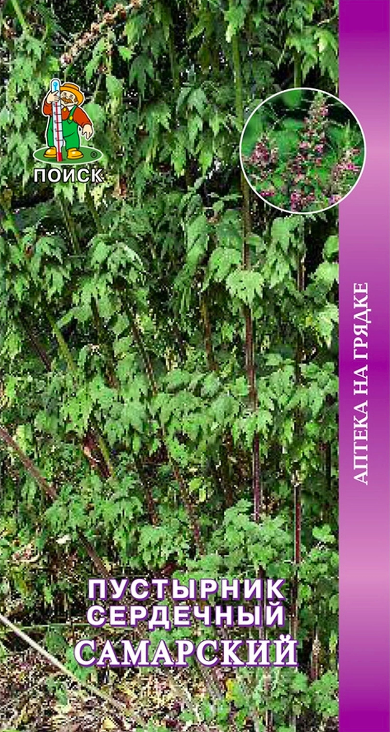 Семена Пустырника ПОИСК Сердечный Самарский 0,1 г