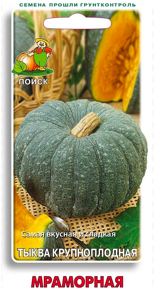 Семена Тыквы крупноплодной ПОИСК Мраморная 10 шт