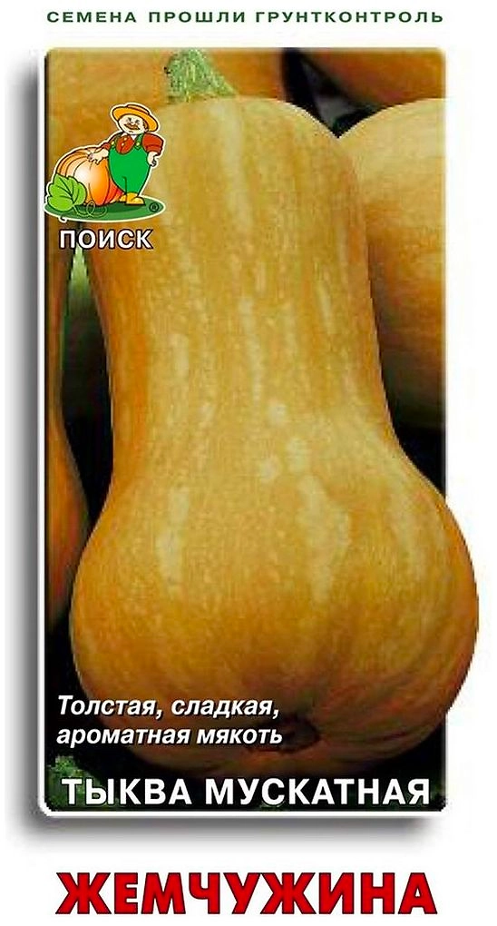 Семена Тыквы мускатной ПОИСК Жемчужина 10 шт